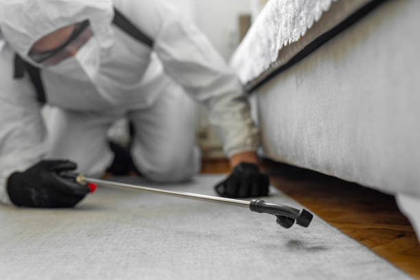 Professional Termite Control technician working in Van Vleck, TX