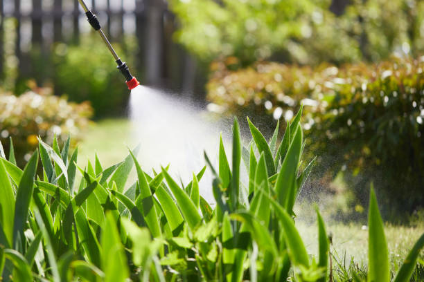 24/7 Emergency Termite Control experts in Van Vleck, TX