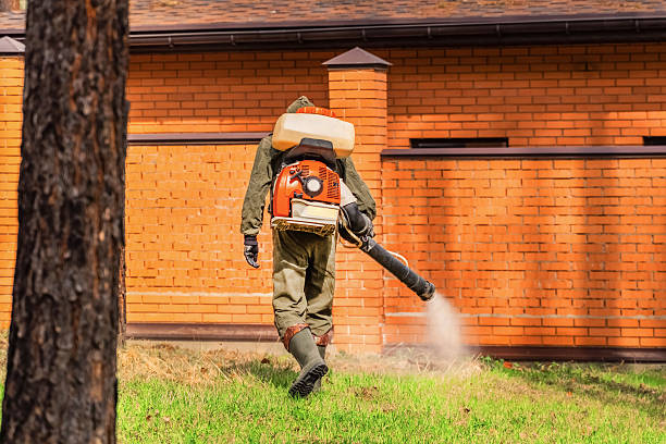 Top rated local Termite Control specialists in Van Vleck, TX